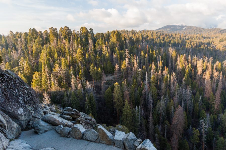 Voorbewerkingscursus